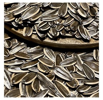 De Grand Bazaar Dakota Ayçekirdeği Tuzsuz 300g