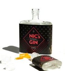 nginious! NIC's GIN
