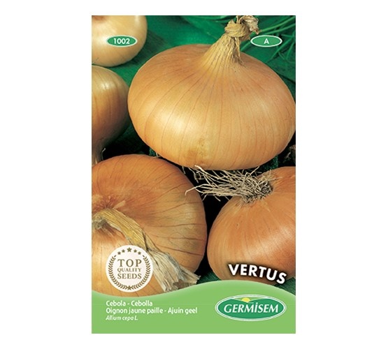 Ajuin geel Vertus