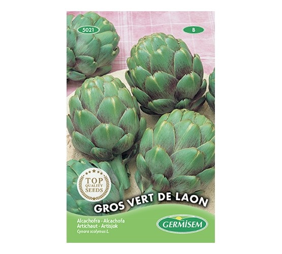 Artisjok gros vert de Laon
