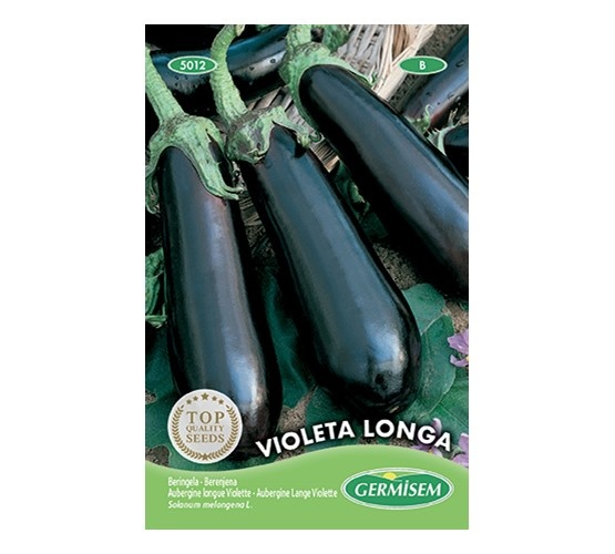 Aubergine Lange Violette
