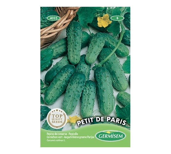 Augurk kleine groene Parijse
