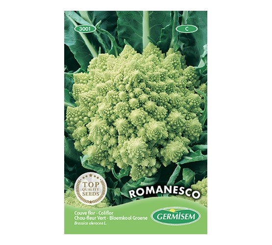 Bloemkool groene Romanesco