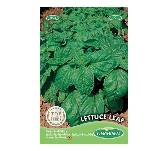 Basilicum Lettuce Leaf