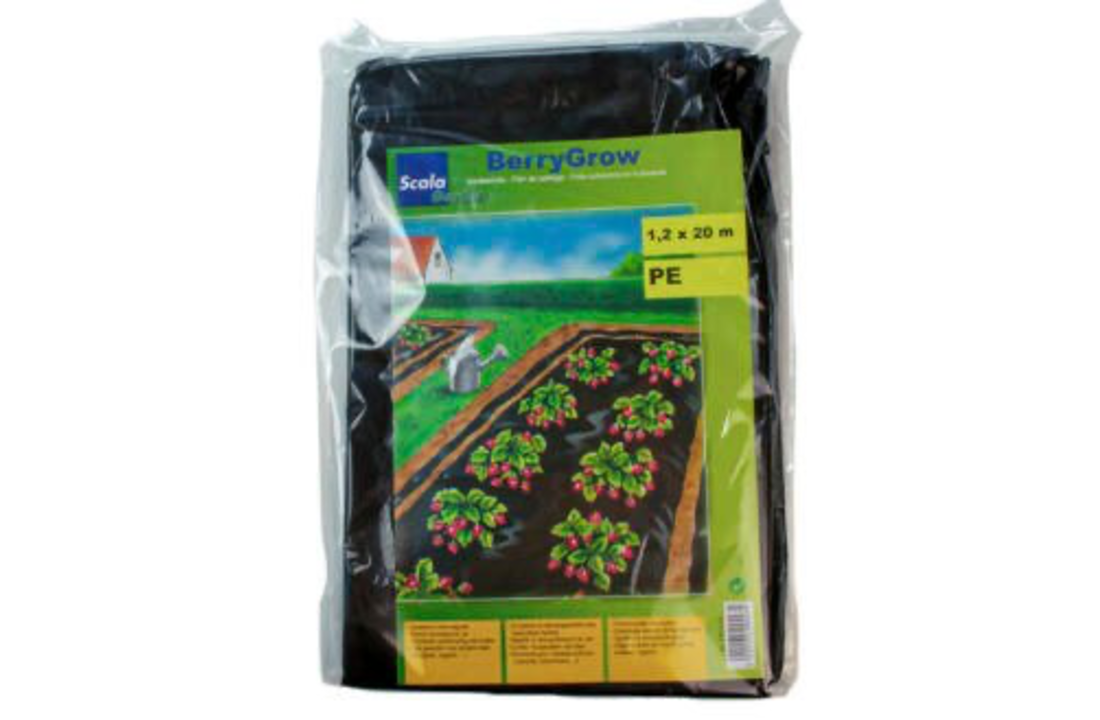 Scala aardbeienfolie 1,2x20 m zwart