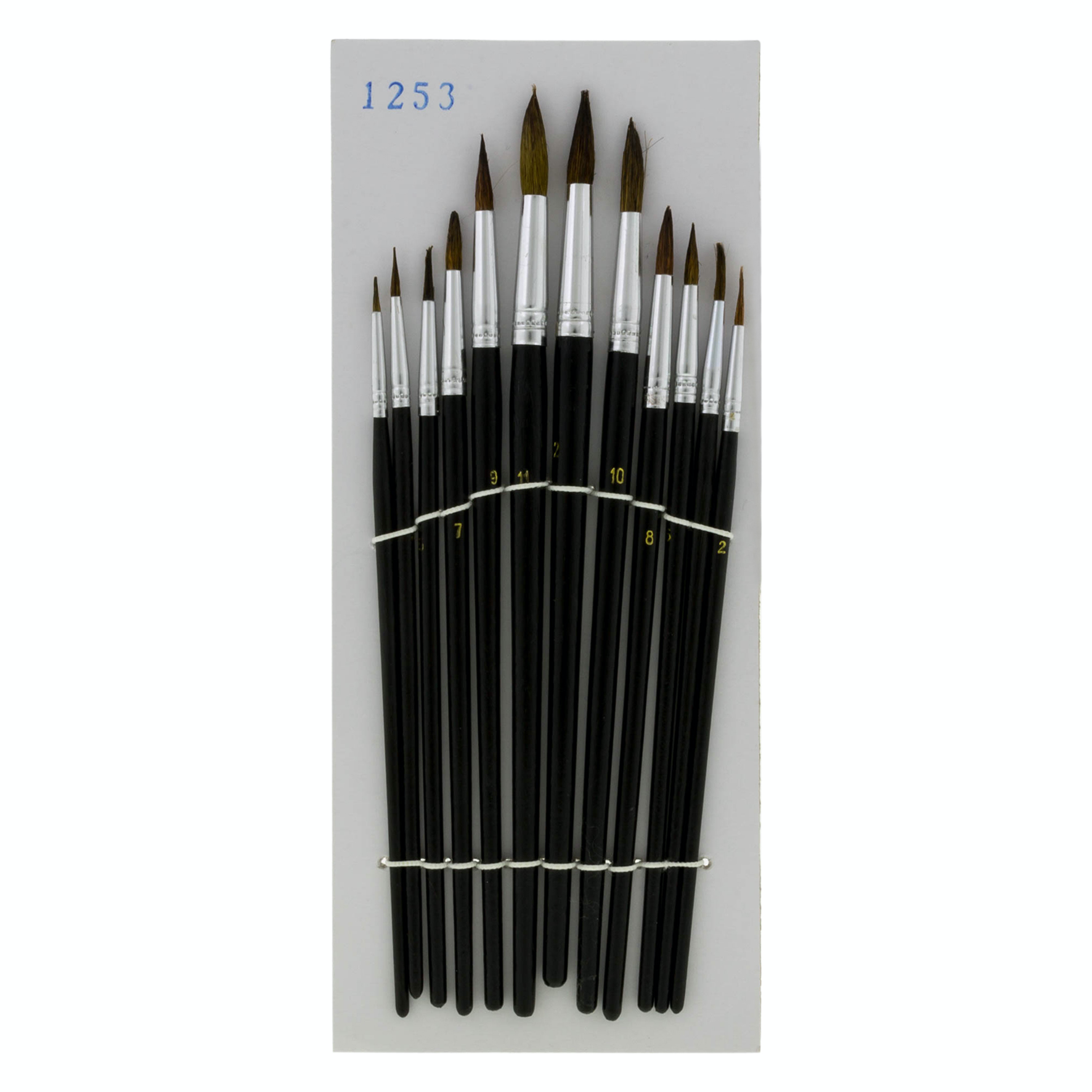 Basic penseelset 12-delige aquarel set