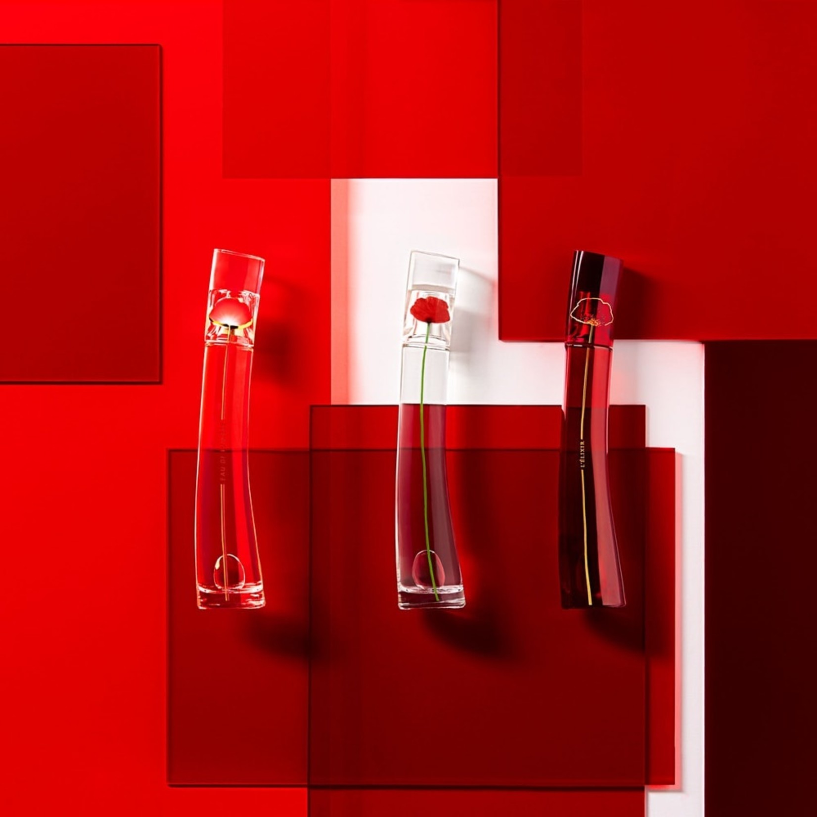 kenzo flower lumiere