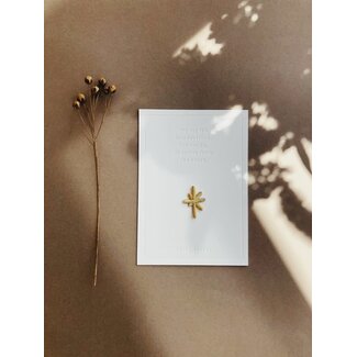 Petit Pourri Star