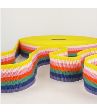 Tassenband lijnen - regenboog