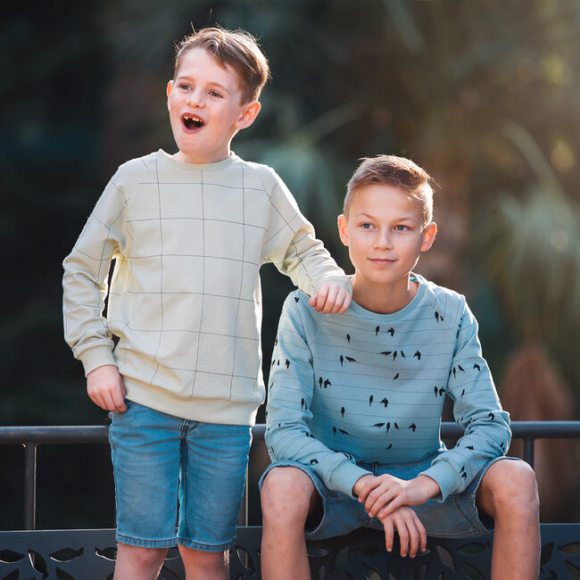 SYAS17 French terry - mistgroen (thin grid)