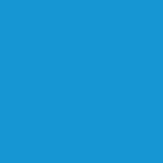 Siser EasyWeed Flexfolie - sky blauw