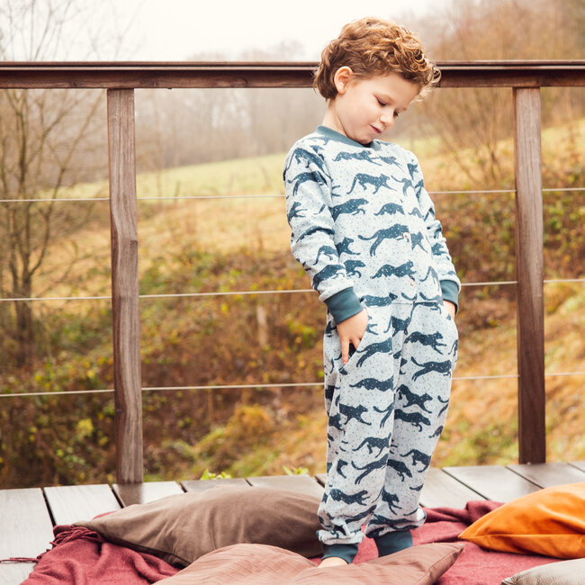 Wisj - Jotte  (80-152)