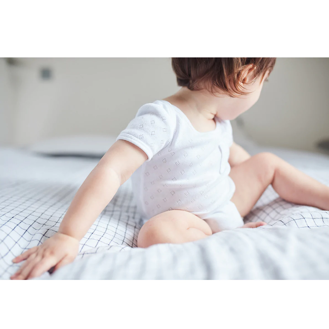 Ikatee - Malmö body (1m - 4y)