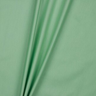 Canvas - lime