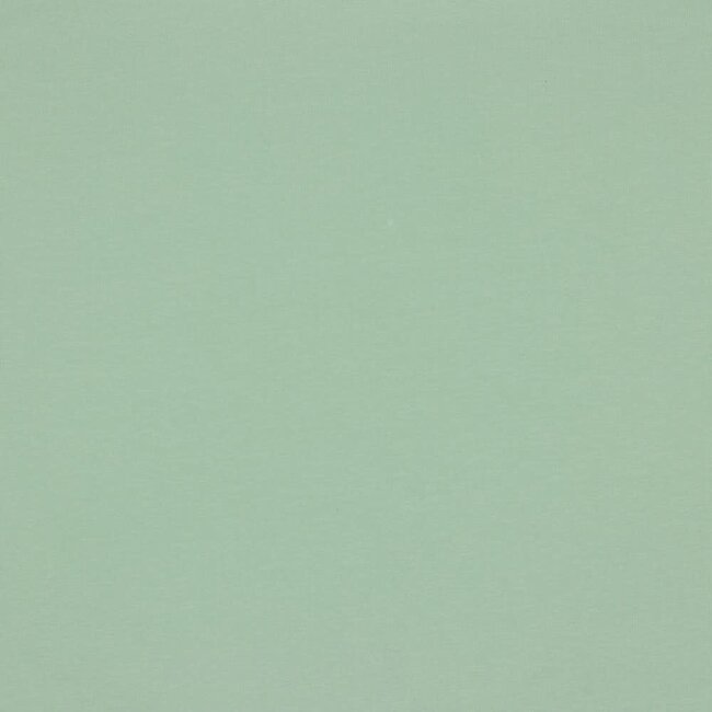 Soft sweat gots - munt