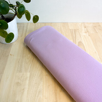 Papillon - light lilac