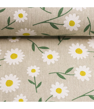 Daisies - canvas