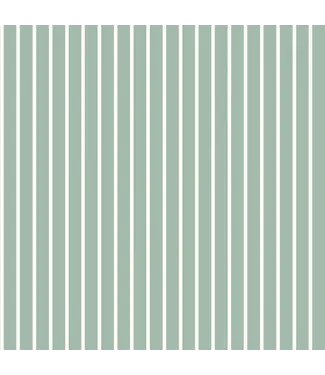 Stripes mint - poplin