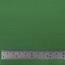 Karla - imitatieleer  clear green