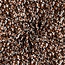 Radiance animal skin - nature