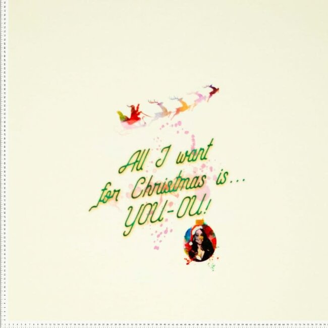 All I want for christmas - sweater paneel