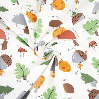 Katia Fabrics Winter harvest - jersey