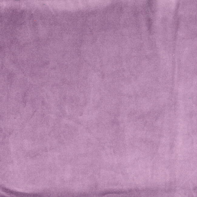 Nicky velours - paars