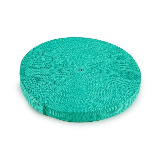 Fluor ribbon 30mm - aqua