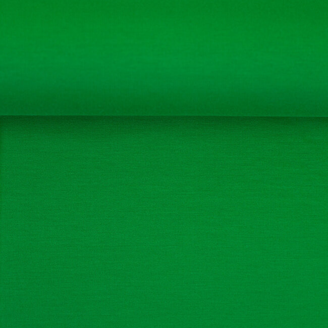 Paula modal french terry - gorgeous green