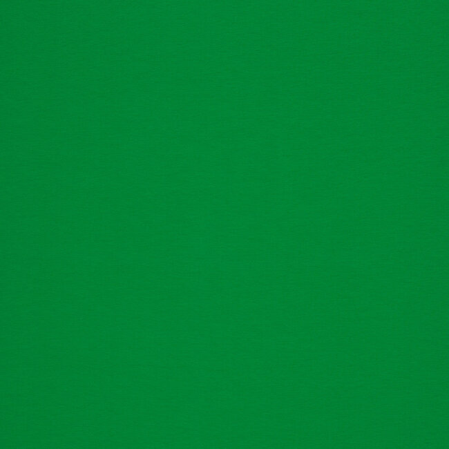 Maike french terry - gorgeous green