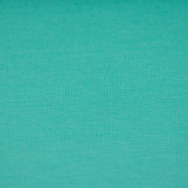 Maike french terry - aqua