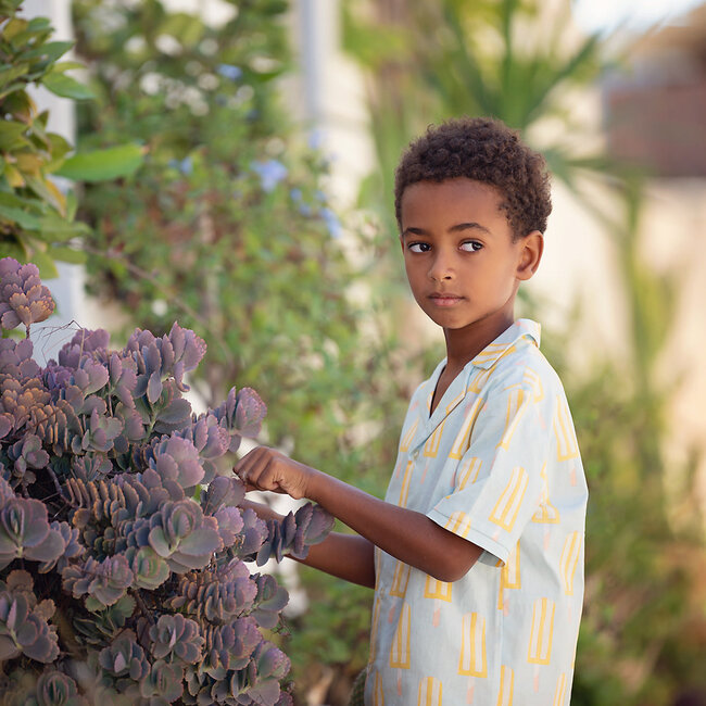 SYAS30 Popsicles - katoen