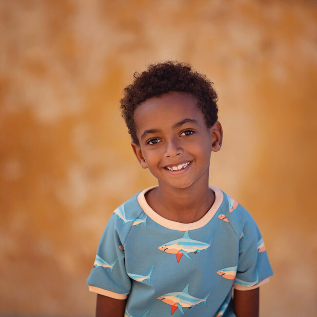 SYAS30 Perzikroom - boordstof