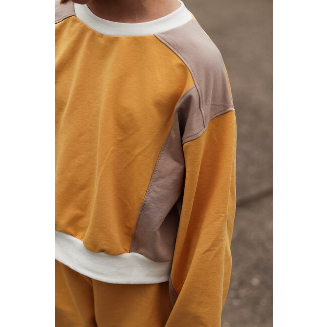 Iris May - Frankie training - digitale handleiding