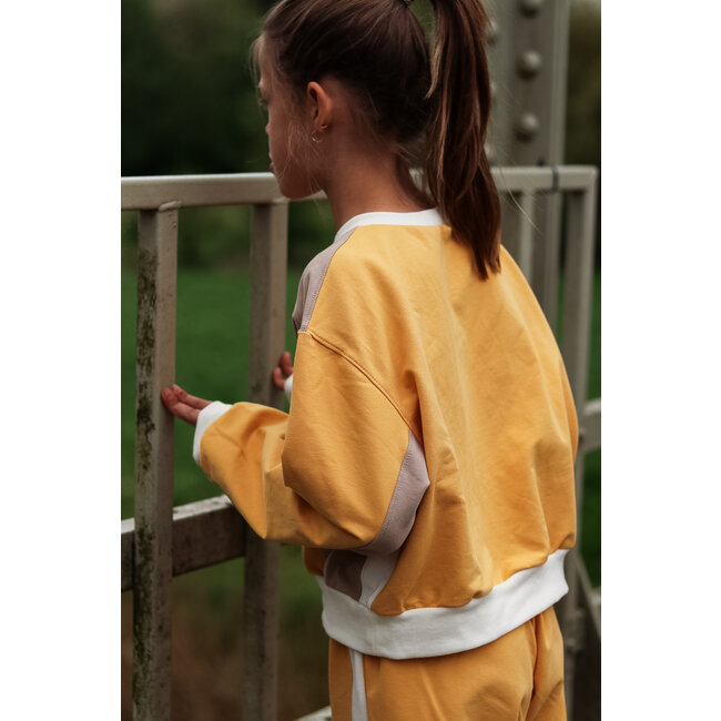 Iris May - Frankie training - digitale handleiding