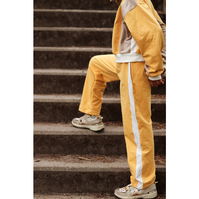 Iris May - Frankie training - digitale handleiding