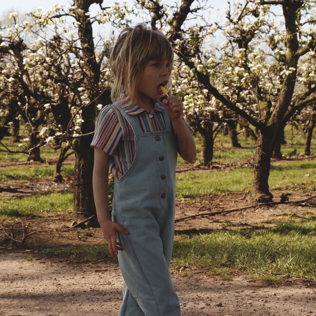 Iris May - George(tte) salopette - digitale handleiding