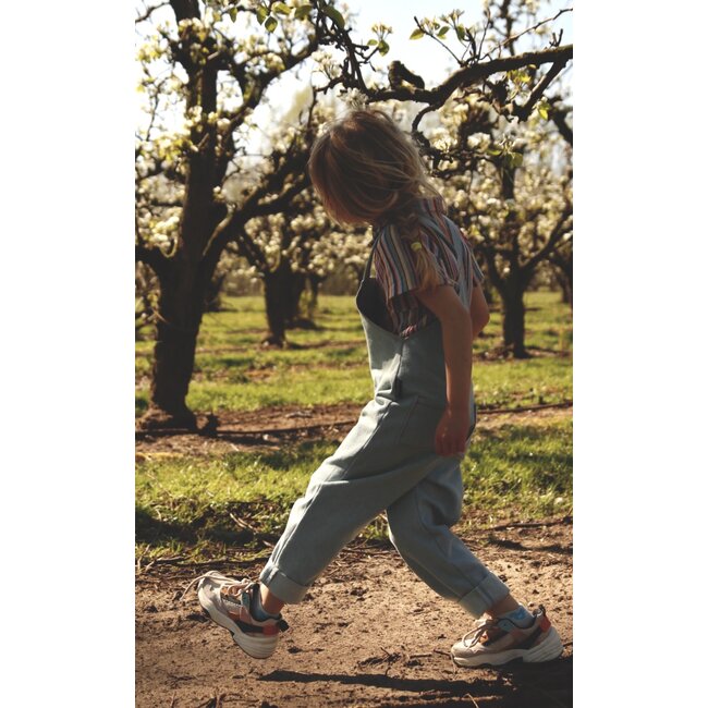 Iris May - George(tte) salopette - digitale handleiding