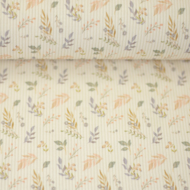 Aster - ribbeltricot