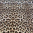 Leopard - mesh