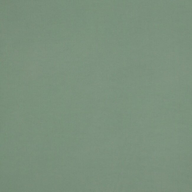 Lenzing ecovero - sage