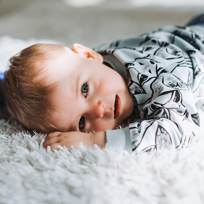 SYAS31 Renard Nouveau - French Terry