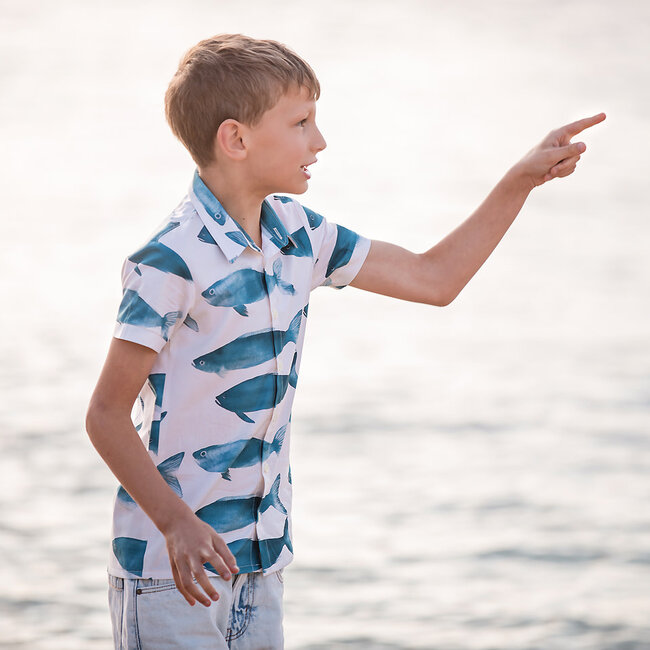 SYAS32 Phishies - Katoen