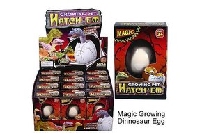 Magisch Ei unicorn