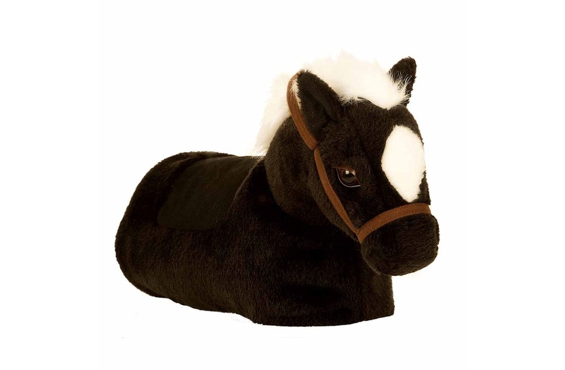Baby Horse