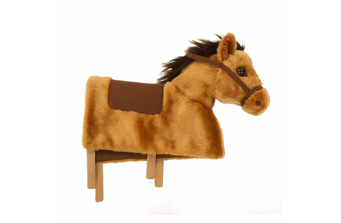 Baby Horse