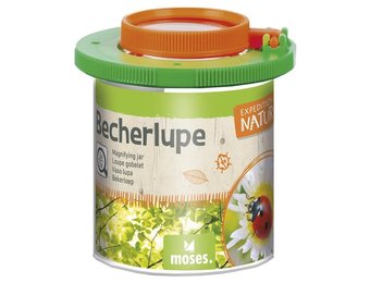 Moses Insectenloep Natuur Expeditie