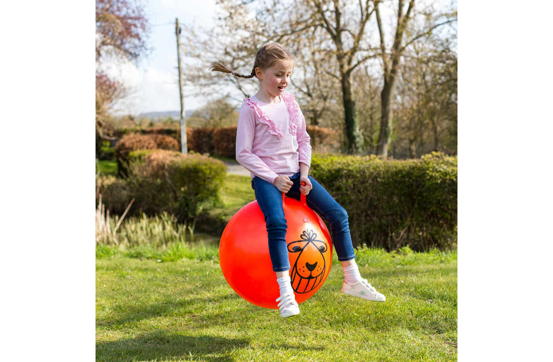 Retro Space Hopper skippybal