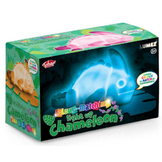 Lichtgevende Kameleon