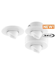 Lunatone DALI-2 CS Integration, Instance mode, PIR 15m/Light